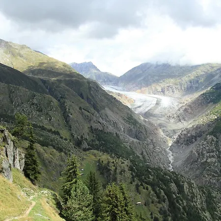 Burgen Апартаменты Натерс